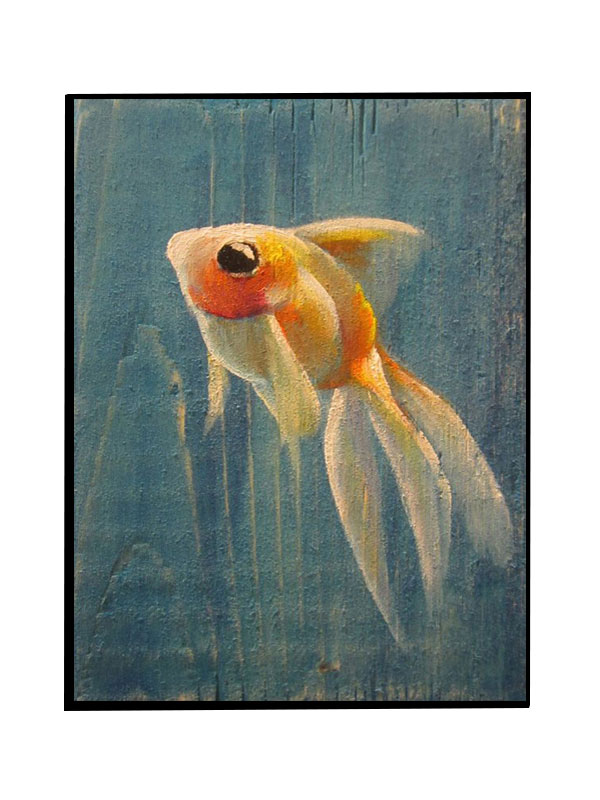 Compatible Animals for Jahrriesnge goldfish-lpg1564 Compatible Animals Jahrriesnge for goldfish-lpg1564