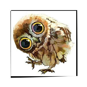 Compatible Animals for Jahrriesnge owl-lpg1569 Compatible Animals Jahrriesnge for owl-lpg1569