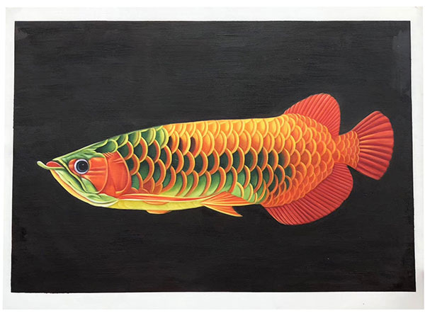 Compatible Animals for Jahrriesnge fish lpg2674 Compatible Animals Jahrriesnge for fish lpg2674